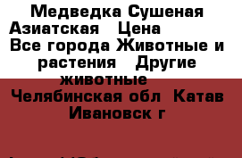 Медведка Сушеная Азиатская › Цена ­ 1 400 - Все города Животные и растения » Другие животные   . Челябинская обл.,Катав-Ивановск г.